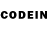 Галлюциногенные грибы GOLDEN TEACHER pro writingaid