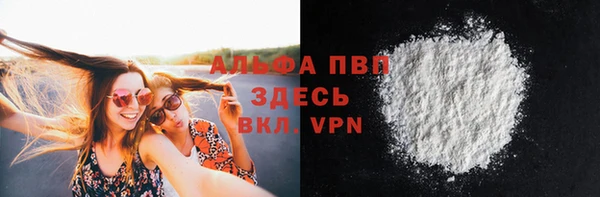 шишки Коряжма