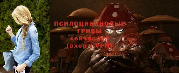 соль курить ск Краснослободск