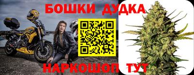 твердый Гай