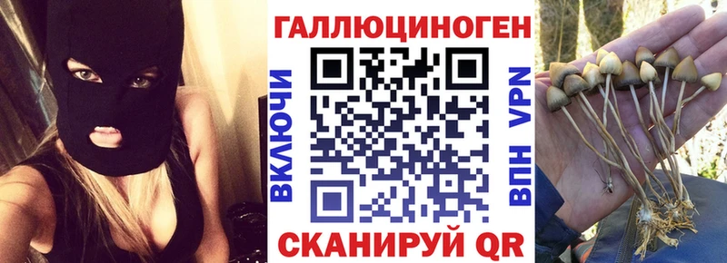 как найти   Белгород  Галлюциногенные грибы мицелий 