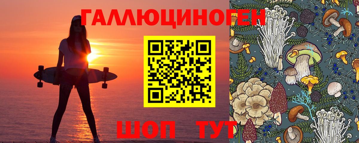 Псилоцибиновые грибы MAGIC MUSHROOMS  Белгород 