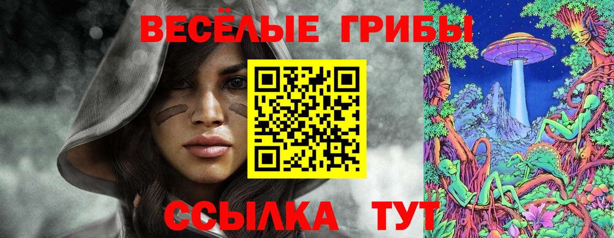 Псилоцибиновые грибы Cubensis Белгород