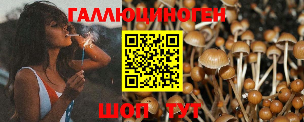 Галлюциногенные грибы мицелий Белгород